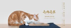 毛肉毛求MoMeatMoBall